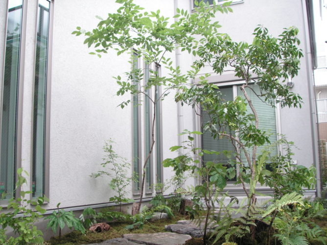 東京都　杉並区にある　庭工事　雑木の庭　完成　